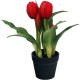 TULIPANY W DONICZCE 5 SZT CZERWONE 23 CM JAK ŻYWE GUMOWANE