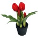 TULIPANY W DONICZCE 5 SZT CZERWONE 23 CM JAK ŻYWE GUMOWANE