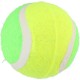 PIŁKA TENIS ZIEMNY DLA PSA 3SZT KOLOR