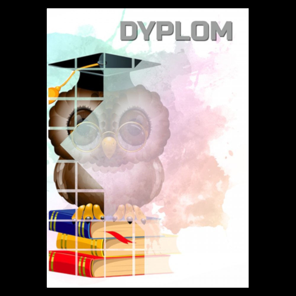 Dyplom papierowy - sowa (25 szt.) DYP157