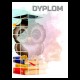 Dyplom papierowy - sowa (25 szt.) DYP157