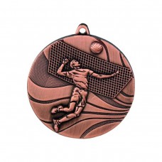medal brązowy- siatkówka