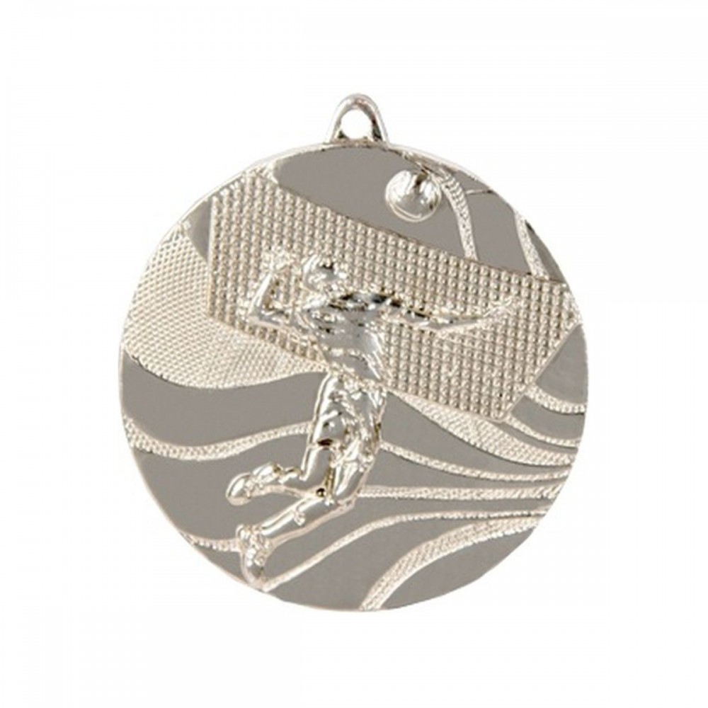 medal srebrny- siatkówka