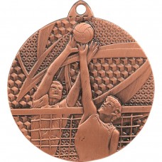 medal brązowy- siatkówka