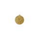 Medal złoty- biegi - medal stalowy