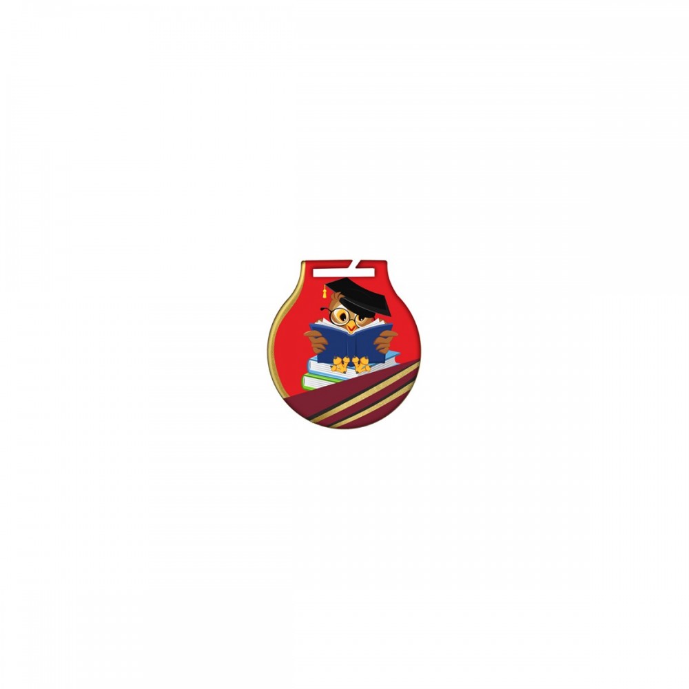 Medal stalowy z usługą Q - SZKOLNICTWO