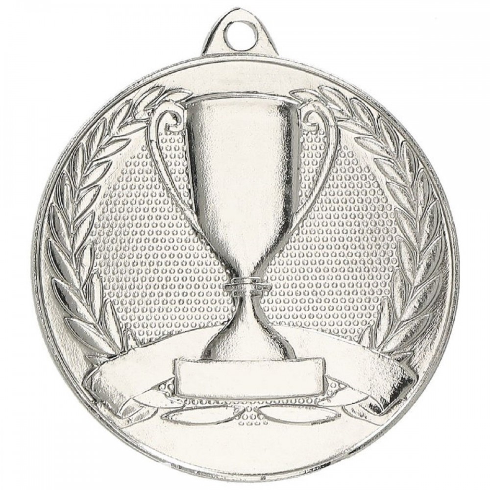 Medal srebrny ogólnyz pucharkiem