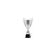 Puchar metalowy srebrny T-D 2058C