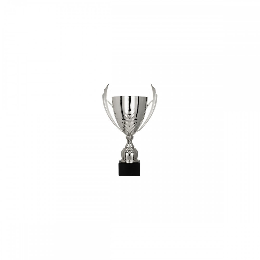 Puchar metalowy srebrny