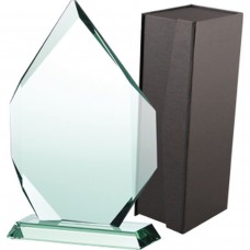 Trofeum szklane z etui
