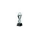 Trofeum szklane grawerowane z etui +wypełnianie farbą