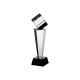 Trofeum szklane grawerowane z etui